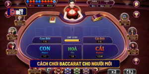 Cách chơi baccarat cho người mới