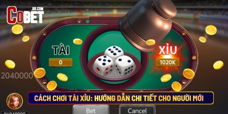 Cách Chơi Tài Xỉu: Hướng Dẫn Chi Tiết Cho Người Mới