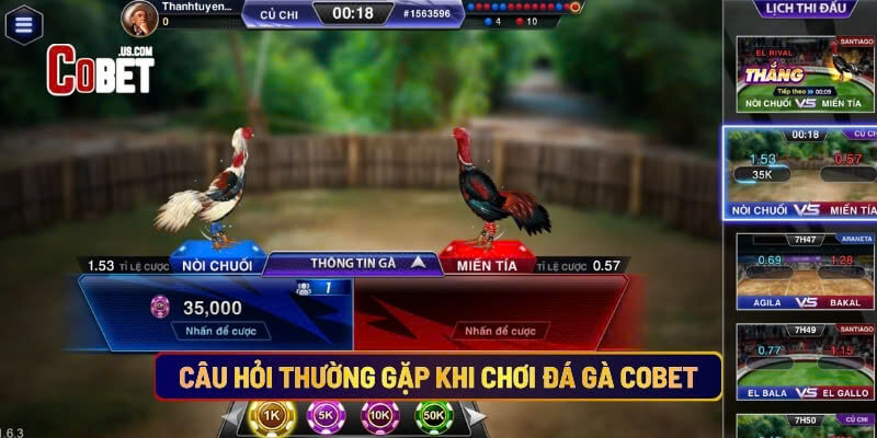 Câu Hỏi Thường Gặp Khi Chơi Đá Gà Cobet