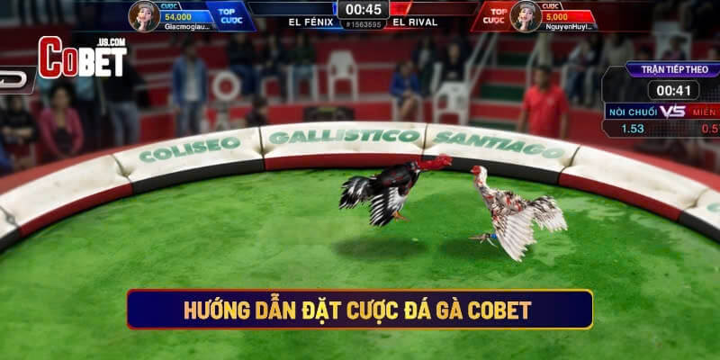 Hướng Dẫn Tham Gia Đặt Cược Đá Gà Cobet Cho Người Mới