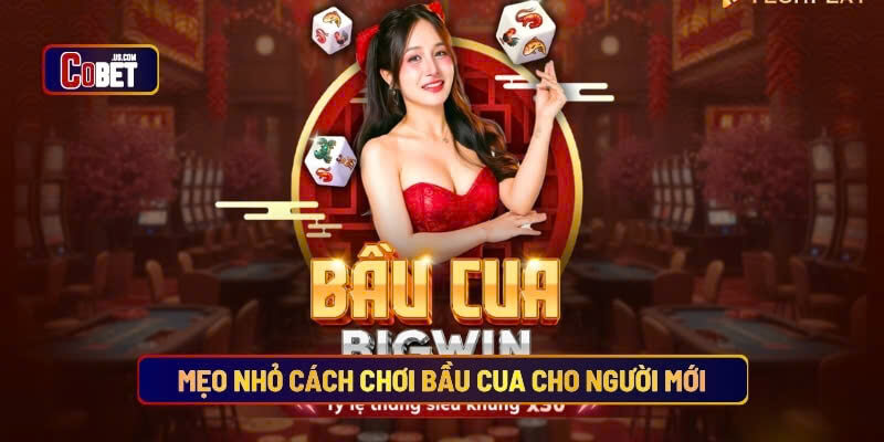 Mẹo nhỏ cách chơi bầu cua cho người mới