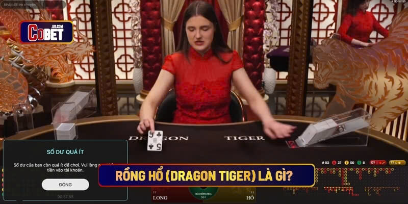 Rồng hổ (dragon tiger) là gì?