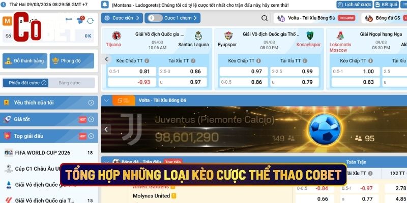 Tổng Hợp Những Loại Kèo Cược Thể Thao Cobet